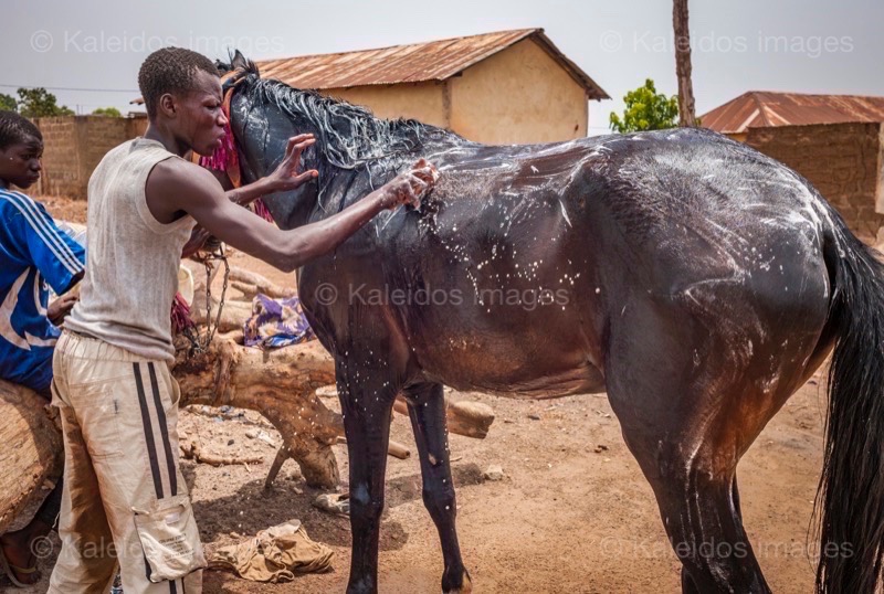 ;Cleaning;Washing;Dongola