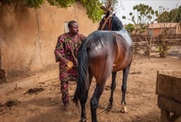 Africa;Benin;Danda;Horses;Kaleidos;Kaleidos-images;La-parole-à-limage;Man;Men;Moussa-Atta;Pehonko;Tarek-Charara;Dongola