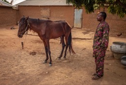 The horsemen of Djougou