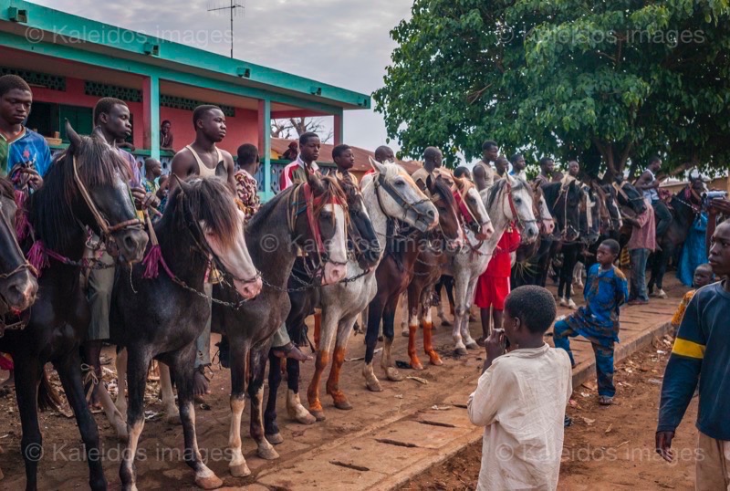 Africa;Benin;Horses;Kaleidos;Kaleidos images;La parole à l'image;Riders;Tarek Charara;Dongola