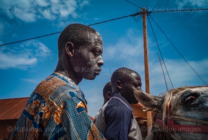 Africa;Benin;Horseman;Horsemen;Horses;Kaleidos;Kaleidos images;La parole à l'image;Riders;Souleiman Gnora;Tarek Charara