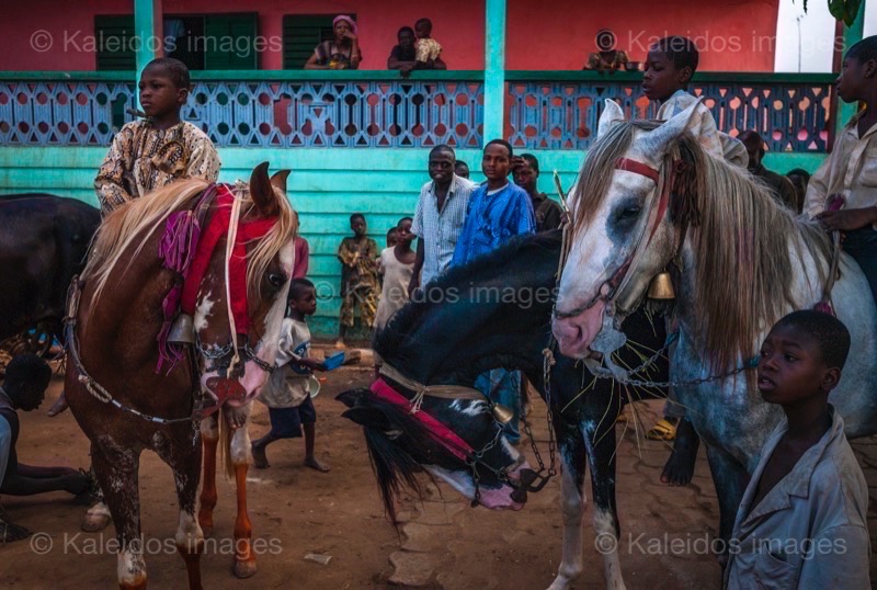 Afrique;Bénin;Cavaliers;Cheval;Chevaux;Horses;Kaleidos;Kaleidos images;La parole à l'image;Tarek Charara;Dongola