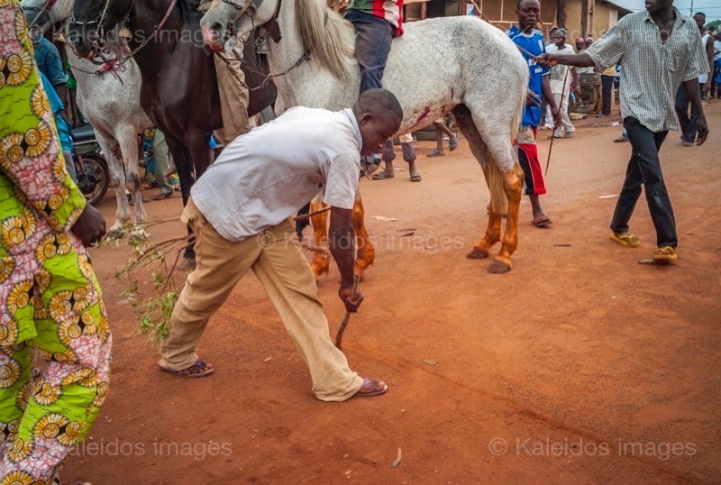 Africa;Benin;Horses;Kaleidos;Kaleidos images;La parole à l'image;Man;Men;Tarek Charara