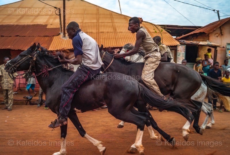 Africa;Benin;Horses;Kaleidos;Kaleidos images;La parole à l'image;Race;Riders;Tarek Charara;Dongola