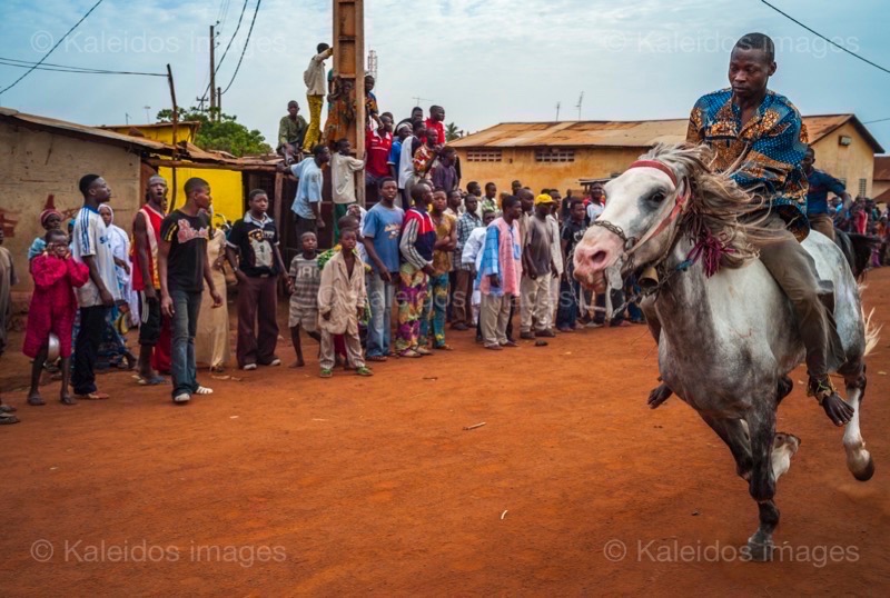 Africa;Benin;Fourdé;Horses;Kaleidos;Kaleidos images;La parole à l'image;Races;Riders;Souleiman Gnora;Tarek Charara;Dongola