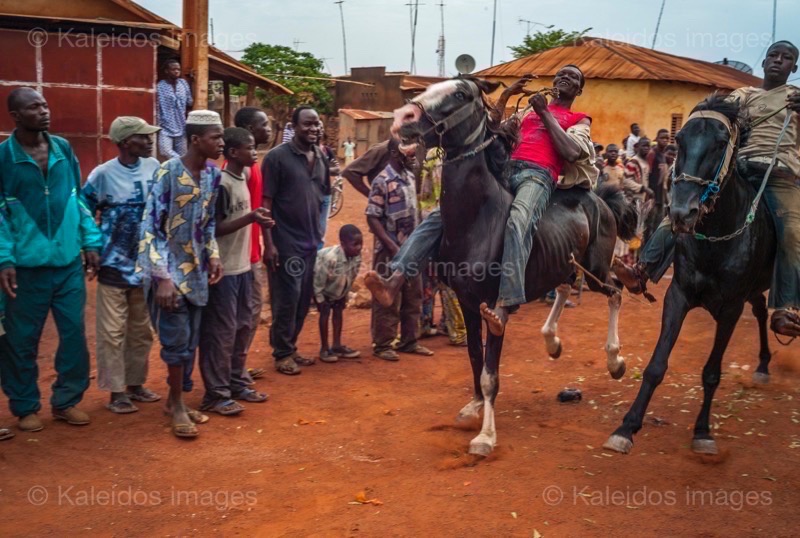 Africa;Benin;Horses;Kaleidos;Kaleidos images;La parole à l'image;Races;Riders;Tarek Charara;Dongola