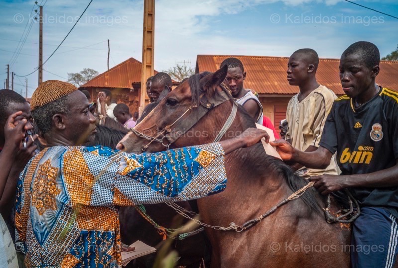 Africa;Benin;Horses;Kaleidos;Kaleidos images;La parole à l'image;Moussolomi Congacou;Races;Riders