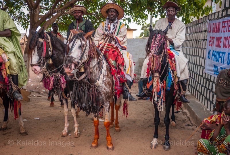 Africa;Bakpassi;Baseno Djowou;Benin;Horseman;Horsemen;Horses;Kaleidos;Kaleidos images;La parole à l'image;Mouhamadou;Razakou;Riders;Tarek Charara