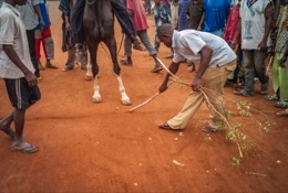 Africa;Benin;Horses;Kaleidos;Kaleidos-images;La-parole-à-limage;Tarek-Charara