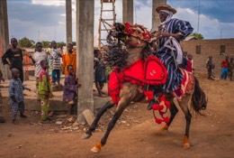 Africa;Benin;Horseman;Horsemen;Horses;Kaleidos;Kaleidos-images;La-parole-Ã -limage;Riders;Tarek-Charara;Dongola