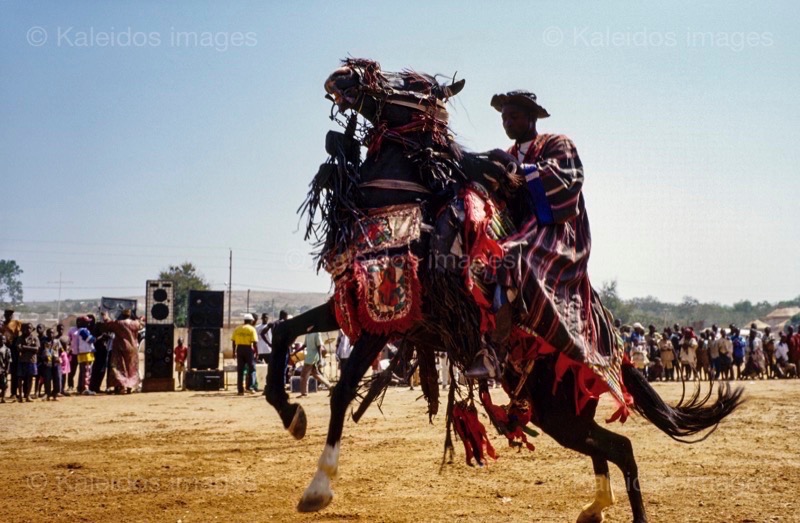 Africa;Afrique;Baatonbou;Baatonou;Bariba;Benin;Bénin;Cavaliers;Cheval;Chevaux;Gaani;Hommes;Horseman;Horsemen;Horses;Kaleidos;Kaleidos images;La parole à l'image;Man;Men;Riders;Souleiman Gnora;Tarek Charara;Dongola