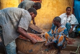 Africa;Benin;Kaleidos;Kaleidos-images;La-parole-à-limage;Millet;Moussa-Atta;Moussolomi-Congacou;Tarek-Charara;Red-millet