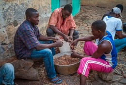 Africa;Benin;Kaleidos;Kaleidos-images;La-parole-à-limage;Millet;Tarek-Charara;Red-millet