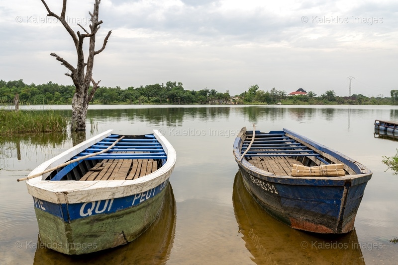 Lac Toho;Ouidah;Bénin;Afrique de l'Ouest;pirogue;barque en bois;détail de pirogue;rame;pagaie;arbre mort;berge lacustre;pêche artisanale;pêche traditionnelle;reflet;ciel nuageux;Tarek Charara;Kaleidos;Kaleidos images;La parole à l'image