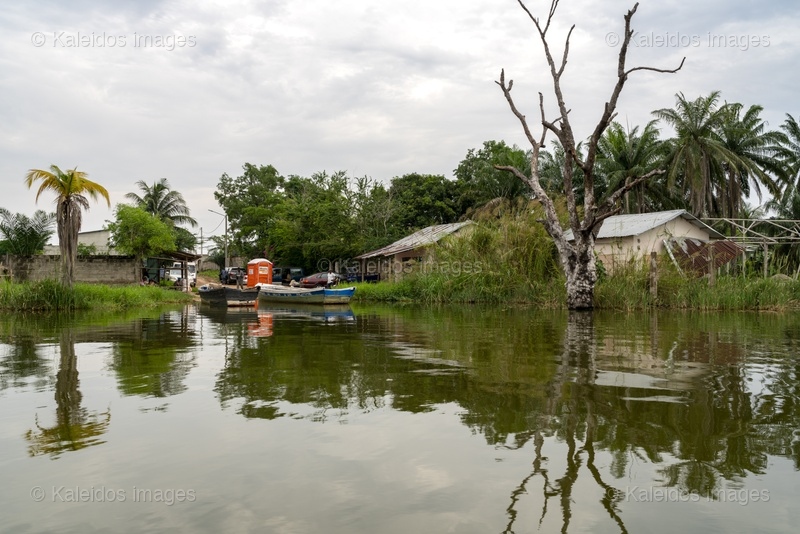 Lac Toho;Ouidah;Bénin;Afrique de l'Ouest;Tchiakpecodji Ahozon;embarcadère;reflet lacustre;arbre mort;eau calme;pirogue;ciel couvert;berge;symétrie;paysage lacustre;Afrique rurale;Tarek Charara;Kaleidos;Kaleidos images;La parole à l'image