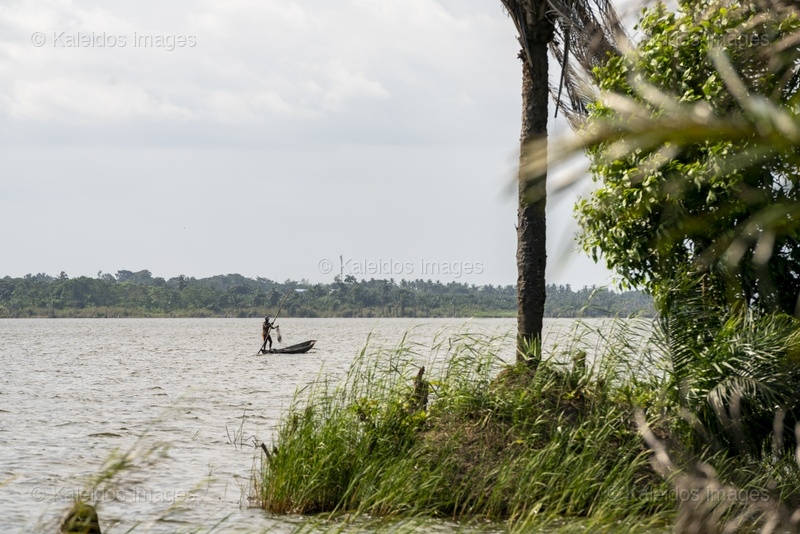 Lake Toho;Ouidah;Benin;West Africa;fisherman;pirogue;paddle;cast net;standing fisherman;tall grass;palm tree;lakeshore;traditional fishing;depth of field;layered composition;Tarek Charara;Kaleidos;Kaleidos images;La parole à l'image