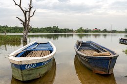 Lake-Toho;Ouidah;Benin;West-Africa;pirogue;wooden-boat;dugout-canoe;boat-detail;oar;dead-tree;lakeshore;artisanal-fishing;traditional-fishing;reflection;overcast-sky;Tarek-Charara;Kaleidos;Kaleidos-images;La-parole-à-limage