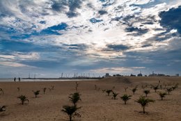 Afrique-de-lOuest;-Bénin;-Ciel-dramatique;-Cocotiers;-Corniche-Est;-Cotonou;-Dune;-Golfe-du-Bénin;-Grues;-Jeunes-cocotiers;-Kaleidos;-Kaleidos-images;-La-parole-à-limage;-Littoral;-Nuages;-Palmiers;-Port-de-Cotonou;-Replantation;-Sable;-Stories-Pictures;-Tarek-Charara