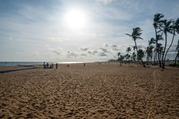 Beach;-Benin;-Cloud-dotted-sky;-Coastline;-Cotonou;-Expanse-of-sand;-Fidjrossè;-Footprints;-Gulf-of-Guinea;-Kaleidos;-Kaleidos-images;-La-parole-à-limage;-Route-des-Pêches;-Sand;-Stories-Pictures;-Tarek-Charara;-West-Africa;-Wind;-Wind-bent-palm