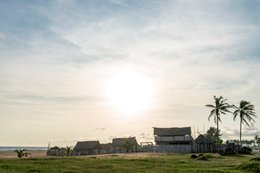 Benin;-Cotonou;-Fidjrossè;-Fishing-village;-Golden-light;-Gulf-of-Guinea;-Hut;-Kaleidos;-Kaleidos-images;-La-parole-à-limage;-Ouidah;-Palm-tree;-Route-des-Pêches;-Stories-Pictures;-Tarek-Charara;-Thatch;-Thatched-shelter;-West-Africa