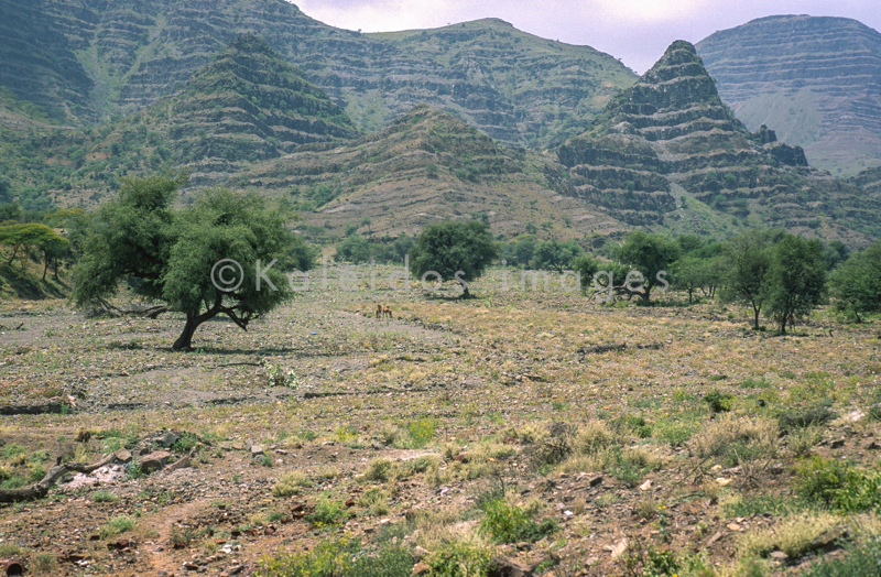 Africa;Afrique;Djibouti;Kaleidos;Kaleidos images;Tarek Charara
