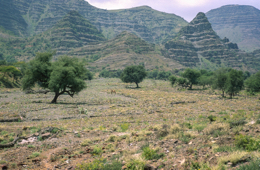 Africa;Afrique;Djibouti;Kaleidos;Kaleidos-images;Tarek-Charara