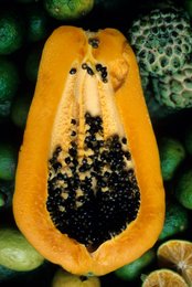 Alimentation;-Archipel-des-Comores;-Citron-vert;-France;-Fruits;-Graines;-Kaleidos;-Kaleidos-images;-La-parole-à-limage;-Laurent-Abad;-Marché;-Mayotte;-Nature-morte;-Océan-Indien;-Papaye;-Stories-Pictures