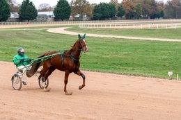 Cheval,-Chevaux,-Domaine-de-Grosbois,-Drivers,-Grosbois,-Kaleidos,-Kaleidos-images,-La-parole-à-limage,-Marolles-en-Brie,-Stories-Pictures,-Sulky,-Tarek-Charara,Trot,-Trotteurs,-Toni-Ripoll