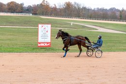 Cheval,-Chevaux,-Domaine-de-Grosbois,-Drivers,-Grosbois,-Kaleidos,-Kaleidos-images,-La-parole-à-limage,-Marolles-en-Brie,-Stories-Pictures,-Sulky,-Tarek-Charara,Trot,-Trotteurs,-Toni-Ripoll