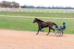 Cheval,-Chevaux,-Domaine-de-Grosbois,-Drivers,-Grosbois,-Kaleidos,-Kaleidos-images,-La-parole-à-limage,-Marolles-en-Brie,-Stories-Pictures,-Sulky,-Tarek-Charara,Trot,-Trotteurs,-Toni-Ripoll