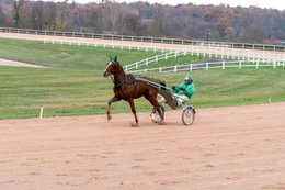 Cheval,-Chevaux,-Domaine-de-Grosbois,-Drivers,-Grosbois,-Kaleidos,-Kaleidos-images,-La-parole-à-limage,-Marolles-en-Brie,-Stories-Pictures,-Sulky,-Tarek-Charara,Trot,-Trotteurs,-Toni-Ripoll