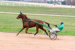 Cheval,-Chevaux,-Domaine-de-Grosbois,-Drivers,-Grosbois,-Kaleidos,-Kaleidos-images,-La-parole-à-limage,-Marolles-en-Brie,-Stories-Pictures,-Sulky,-Tarek-Charara,Trot,-Trotteurs,-Toni-Ripoll