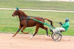 Cheval,-Chevaux,-Domaine-de-Grosbois,-Drivers,-Grosbois,-Kaleidos,-Kaleidos-images,-La-parole-à-limage,-Marolles-en-Brie,-Stories-Pictures,-Sulky,-Tarek-Charara,Trot,-Trotteurs,-Toni-Ripoll