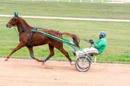 Cheval,-Chevaux,-Domaine-de-Grosbois,-Drivers,-Grosbois,-Kaleidos,-Kaleidos-images,-La-parole-à-limage,-Marolles-en-Brie,-Stories-Pictures,-Sulky,-Tarek-Charara,Trot,-Trotteurs,-Toni-Ripoll