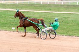 Cheval,-Chevaux,-Domaine-de-Grosbois,-Drivers,-Grosbois,-Kaleidos,-Kaleidos-images,-La-parole-à-limage,-Marolles-en-Brie,-Stories-Pictures,-Sulky,-Tarek-Charara,Trot,-Trotteurs,-Toni-Ripoll