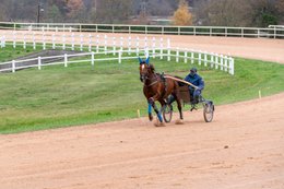 Cheval,-Chevaux,-Domaine-de-Grosbois,-Drivers,-Grosbois,-Kaleidos,-Kaleidos-images,-La-parole-à-limage,-Marolles-en-Brie,-Stories-Pictures,-Sulky,-Tarek-Charara,Trot,-Trotteurs,-Toni-Ripoll