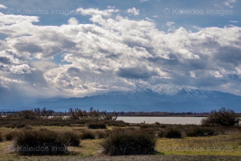 Canet;Canigou;Etang de Canet;France;Kaleidos;Kaleidos images;La parole à l'image;Occitanie;Paysages;Pyrénées;Pyrénées orientales;Roussillon;Tarek Charara;Étang;Étang de Canet-Saint-Nazaire