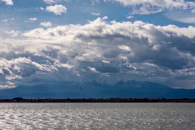 Canet;Canigou;Etang de Canet;France;Kaleidos;Kaleidos images;La parole à l'image;Occitanie;Paysages;Pyrénées;Pyrénées orientales;Roussillon;Tarek Charara;Étang;Étang de Canet-Saint-Nazaire
