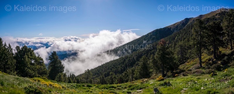 France;Paysages;Pyrénées;Pyrénées orientales;Roussillon;Taurinya;Tarek Charara;Kaleidos;Kaleidos images;La parole à l'image