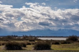 Canet;Canigou;Etang-de-Canet;France;Kaleidos;Kaleidos-images;La-parole-à-limage;Occitanie;Paysages;Pyrénées;Pyrénées-orientales;Roussillon;Tarek-Charara;Étang;Étang-de-Canet-Saint-Nazaire