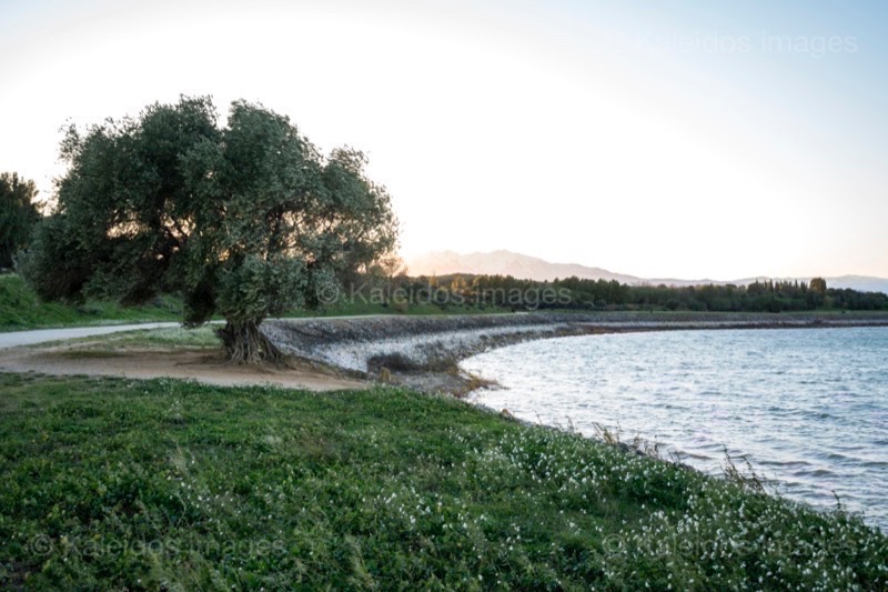 Canigó;France;Lake of Villeneuve;Lake of Villeneuve de la Raho;Lakes;Pyrénées orientales;Roussillon;Trees;Winds