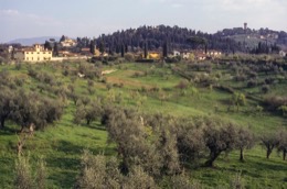 Boboli;Florence;Giardino-di-Boboli;Italie;Italy;Jardin-de-Boboli;Kaleidos;Kaleidos-images;La-parole-à-limage;Philippe-Guery;Toscane;Tuscany;Villa-di-Volsanminiato
