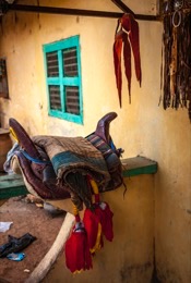 Afrique;Bénin;Kaleidos;Kaleidos-images;La-parole-à-limage;Selles;Tarek-Charara