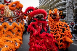19th-arrondissement;-Belleville;-Chinese-culture;-Chinese-New-Year;-Dancers;-Evil-spirits;-France;-Fringes;-Good-luck-charm;-Kaleidos;-Kaleidos-images;-La-parole-à-limage;-Lion-dance;-Lions;-Lunar-New-Year;-Medallions;-Orange-lions;-Parade;-Paris;-Pavement;-Red-lion;-Rue-de-Belleville;-Spectators;-Stories-Pictures;-Tarek-Charara;-Traditional-costumes;-Traditional-festival;-Trees;-Water-Rabbit;-Year-of-the-Rabbit