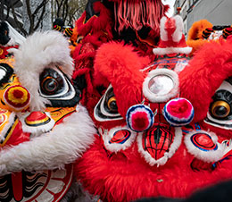 Chinese New Year in Paris